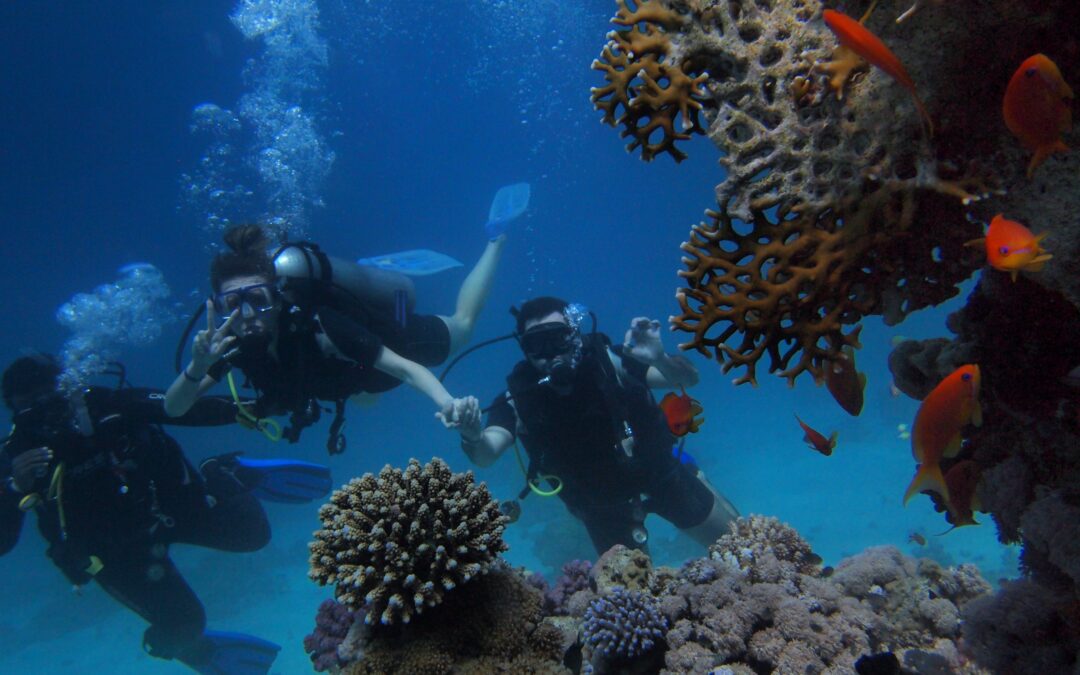 Estate 2022 a Sharm El Sheikh, quote a partire da € 715